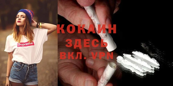 крисы Армянск