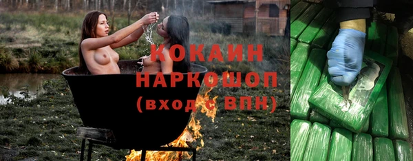 крисы Армянск