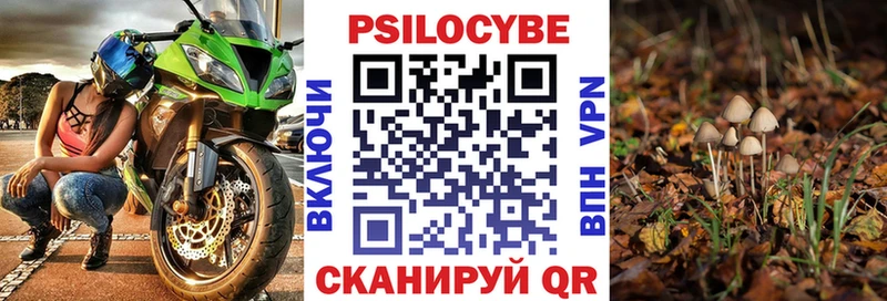 Псилоцибиновые грибы прущие грибы  Аткарск 